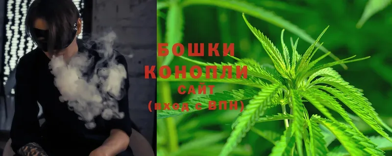 где найти наркотики  Шадринск  Шишки марихуана White Widow 